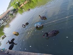 -无锡动物园·太湖欢乐园