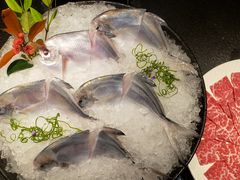 -荣记火锅(青悦城店)