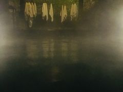 -英德宝晶宫天鹅湖茶语温泉