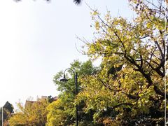 -八大关景区