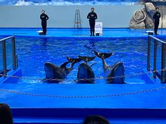 -福州罗源湾海洋世界旅游区