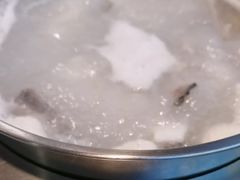 -鱼粤鲜淘米捞·中山脆肉鲩火锅(悦湖会店)