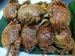 -蔼若春.传承三十年云南菜(金碧公园店)