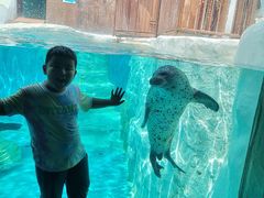 -秦皇岛乐岛海洋王国