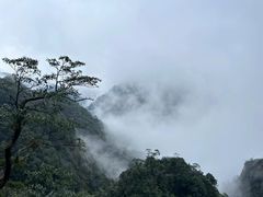 -大鄣山卧龙谷景区