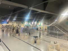 -极限PLAY运动娱乐新世界·团建派对表演休闲馆·室内高空游乐园