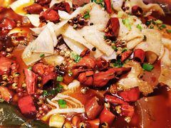 磁器口毛血旺-蔴将·川菜(黄龙万科店)