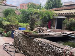 -园林美食城·本土农家菜(杨和镇店)