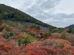 -有栖山 清光院 清水寺