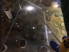 -元代水闸遗址博物馆