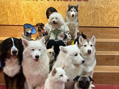 -和它·交个朋友·狗咖猫咖(爱琴海店)