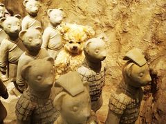 -济州岛泰迪熊博物馆