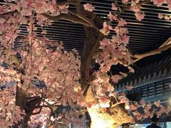 -桂满陇-西湖船宴(西单大悦城店)
