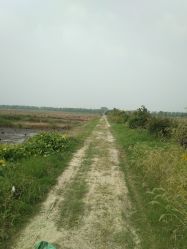 -水八仙生态园