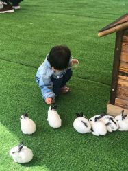 -萌宠亲子动物乐园(槐房万达店)