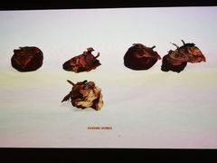 -杭州工艺美术博物馆
