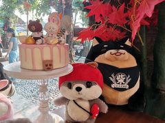 -柴犬高等学院·狗咖·柴犬售卖·宠物训练