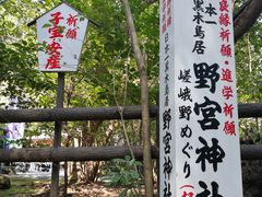 -野宫神社