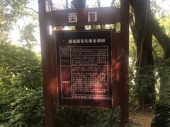 -金鸡山公园