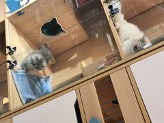 -唐小姐の猫狗洗护·购宠旗舰店(周浦万达店)