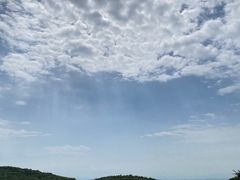 -五龙城郊森林公园