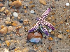 -那香海钻石沙滩浴场