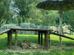 -北京野生动物园