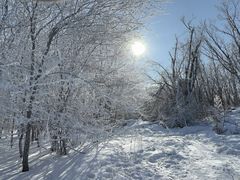 -中旅松花湖滑雪场