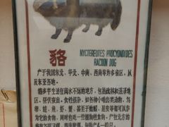 -北京动物园-畅观楼