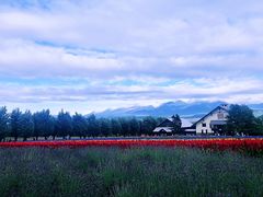 -富田农场