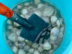 -天津东疆湾沙滩景区