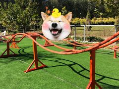 -上庄晋风庄园(上庄店)