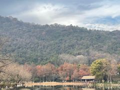 -八卦田遗址公园
