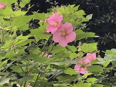 -蒋氏故居