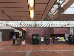 -香港大学
