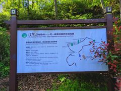 -镇龙山国家森林公园