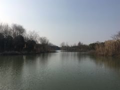 -梁鸿国家湿地公园