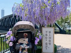 -武汉知音号