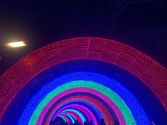 -南宫五洲植物乐园