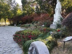 -水绘园