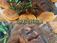 -白洋淀景区