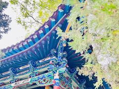 -白塔山公园