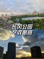 -头号顽家·萌宠生日派对·轻奢策划(前滩店)