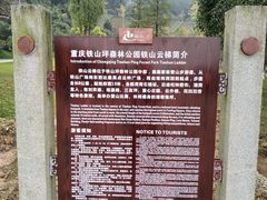 -铁山坪森林公园