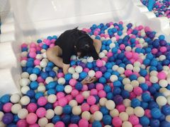 -嘿哟动霸CHUA·新潮玩运动娱乐中心·蹦床滑冰团建乐园