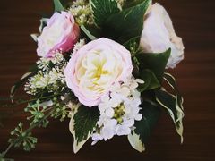 -VESH COFFEE(定西路店)