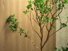 -御同亨酒楼·喜宴