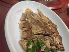 -海拉尔蒙古包(房山长阳总店)
