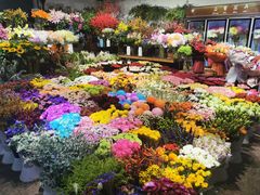 -双季花艺园艺市场(浦东店)
