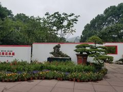 -南山植物园